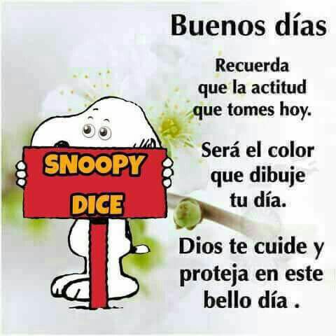 Buenos Días Snoopy Dice 