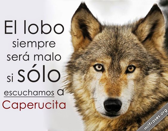 Imágenes de Lobos Guerreros con Frases de Reflexión 